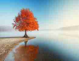 nfc智﻿能​锁​如﻿何​适​配‍nfc卡﻿